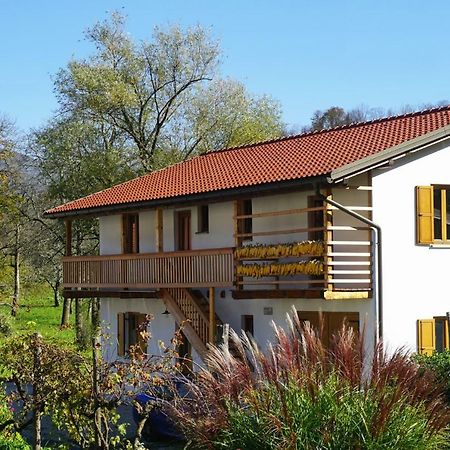 Ecohouse Furlan - Apartment Pinja 科巴里德 外观 照片