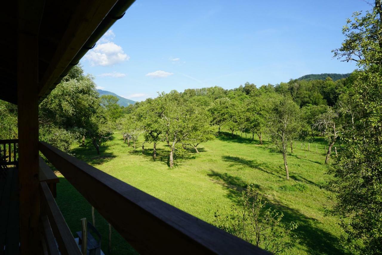 Ecohouse Furlan - Apartment Pinja 科巴里德 外观 照片