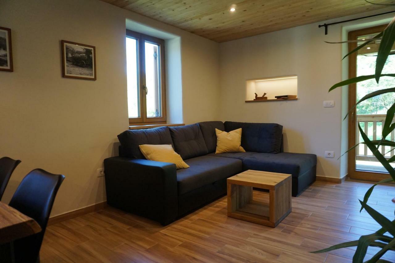 Ecohouse Furlan - Apartment Pinja 科巴里德 外观 照片