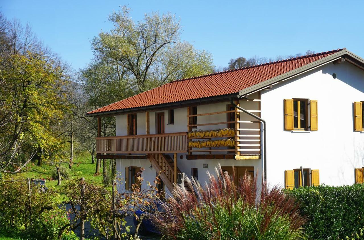 Ecohouse Furlan - Apartment Pinja 科巴里德 外观 照片