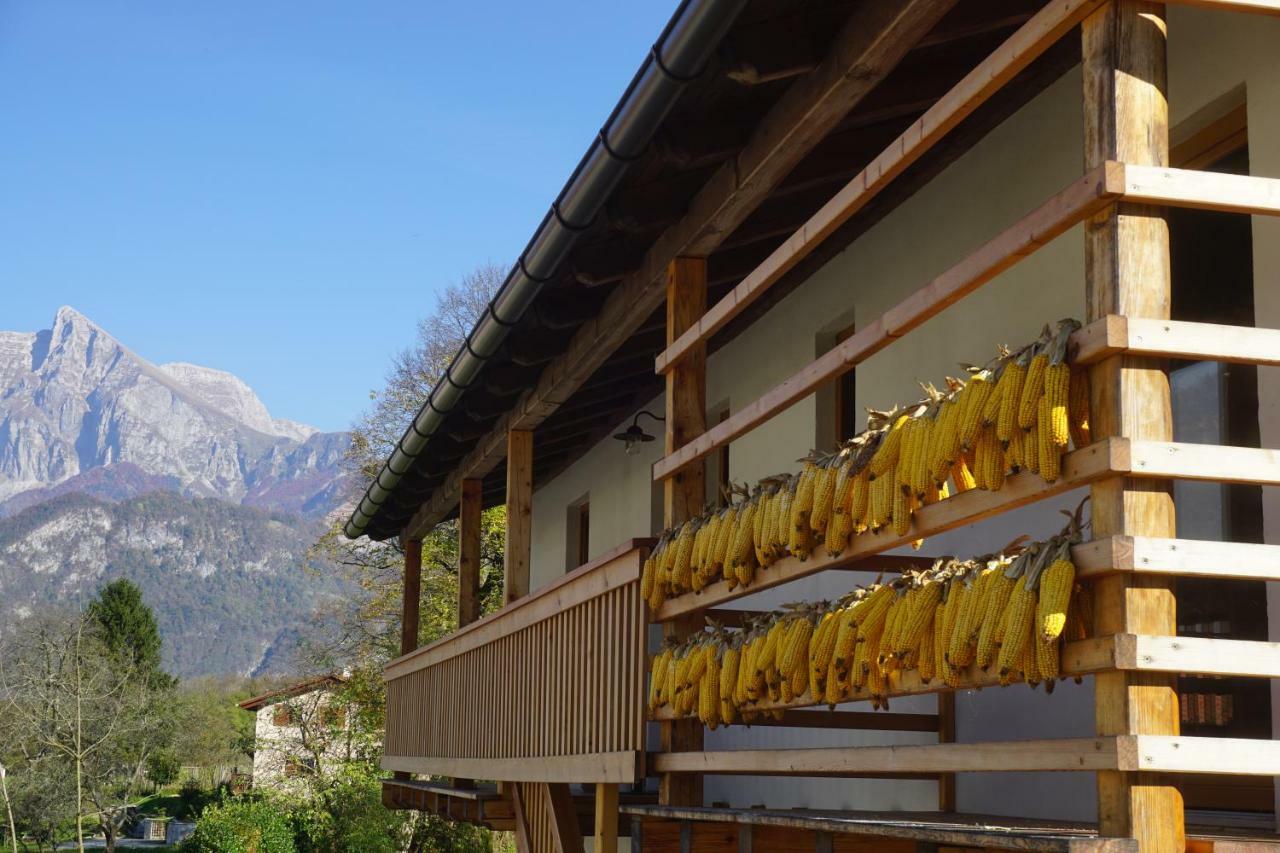 Ecohouse Furlan - Apartment Pinja 科巴里德 外观 照片