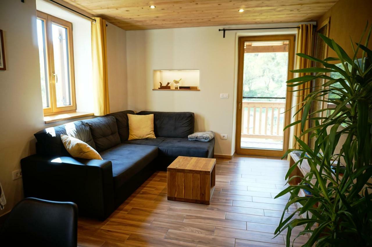 Ecohouse Furlan - Apartment Pinja 科巴里德 外观 照片